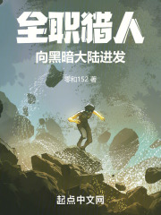 全职猎人:向黑暗大陆进发