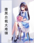 腹黑总裁太难缠