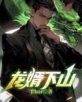 龙婿下山
