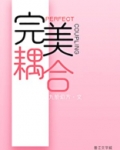 完美耦合[男A女O]